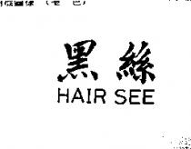 黑絲 HAIR SEE