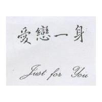 愛戀一身 Just For You
