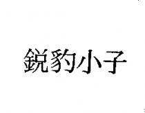 銳豹小子