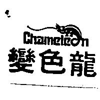變色龍及圖 CHAMELEON