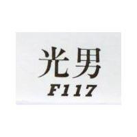 光男及 F117 設計圖