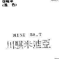 川騏米迪亞 MINI SA