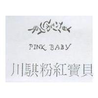 川騏粉紅寶貝及圖 PINK BABY