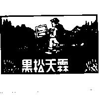 黑松天霖及圖