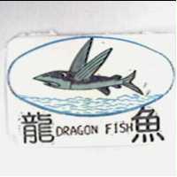 龍魚 DRAGON FISH 及圖