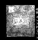髮毛源及圖