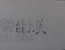 龍美