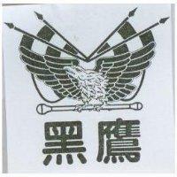 黑鷹及圖