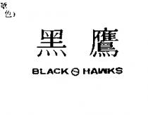 黑鷹 Black Hawks