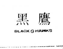黑鷹 BLACK HAWKS