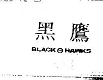 黑鷹 BLACK HAWKS