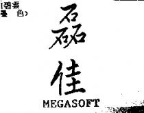 磊佳 MEGASOFT