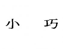 小巧