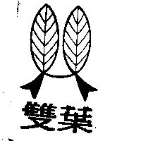 雙葉及圖