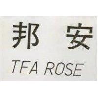 安邦 TEA.ROSE