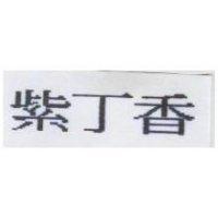 紫丁香
