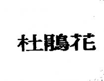 杜鵑花