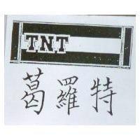 葛羅特及圖 TNT