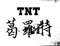 葛羅特 TNT