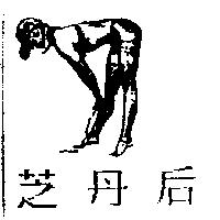 芝丹后及圖