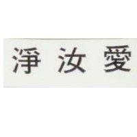 愛汝淨 ANEGYN IN CHINESE CHARACTERS