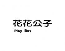花花公子 Play Boy