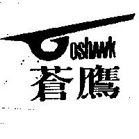 蒼鷹 Goshawk 設計圖