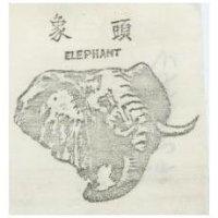 象頭及圖 ELEPHANT