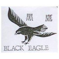黑鷹及圖 BLACK EAGLE