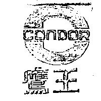 鷹王及圖 CONDOR