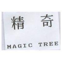 精奇 MAGIC PAPER TREE