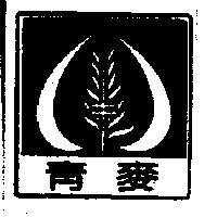 青麥及圖