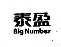 泰盈 BIG NUMBER