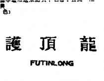護頂龍 FuTinlong