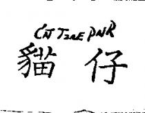 貓仔 CAT TZAE PAIR