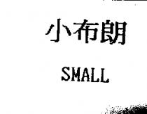 小布朗 SMALL