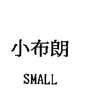 小布朗 SMALL