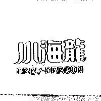 小海龍 BABY-DRAGON