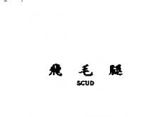 飛毛腿 SCUD