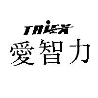 愛智力 TRIEX 設計圖