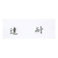 達耐 DYNA SYSTEMS in Chinese characters