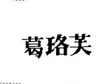 葛珞芙