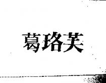 葛珞芙