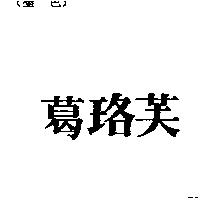 葛洛芙