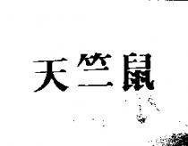 天竺鼠