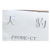 天豹 PROBR.CT