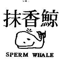 抹香鯨及圖 SPERM WHALE