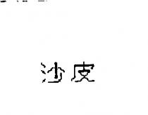 沙皮