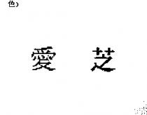 愛芝