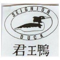 君王鴨及圖 SEIGNIOR DUCK